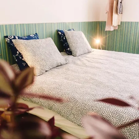Hostel Hospedium Republica Surf House - Coxos Beach,