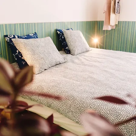 Hospedium Republica Surf House - Coxos Beach, *